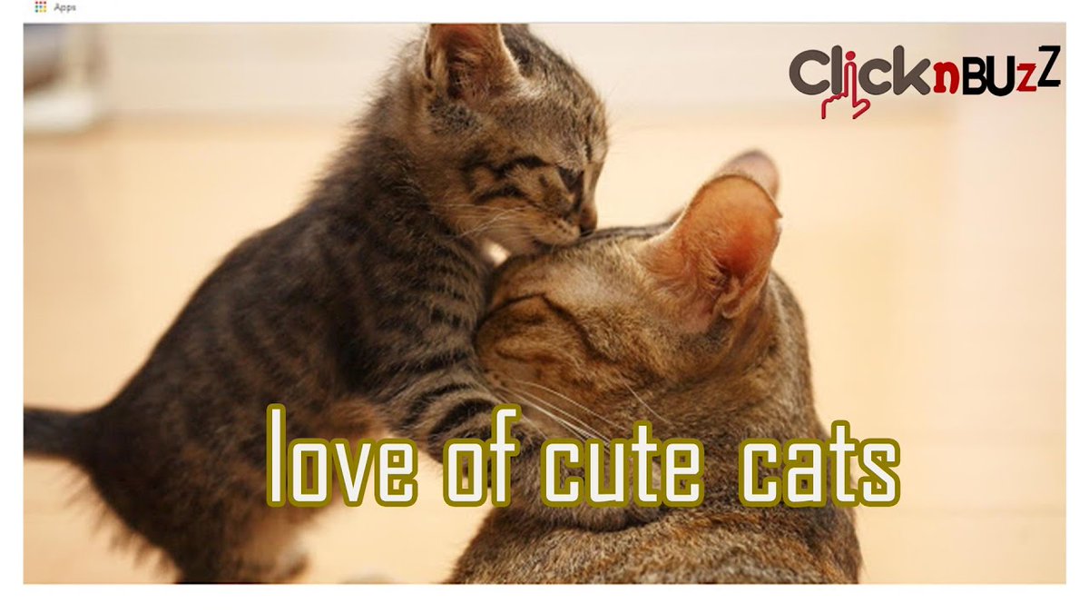 MeowMoeDotCom's tweet photo. Cute Cats - Cute and ...
 
#Cats #Cat #Kittens #Kitten #Kitty #Pets #Pet #Meow #Moe #CuteCats #CuteCat #CuteKittens #CuteKitten #MeowMoe
 
#AnimalsCompilation #AnimalsVideos #BestCuteCatImages #CatBaby #CatCompilation #CatVideos
 
https://t.co/6HfbsuPC6J
 
. https://t.co/6FhuPMaBB9