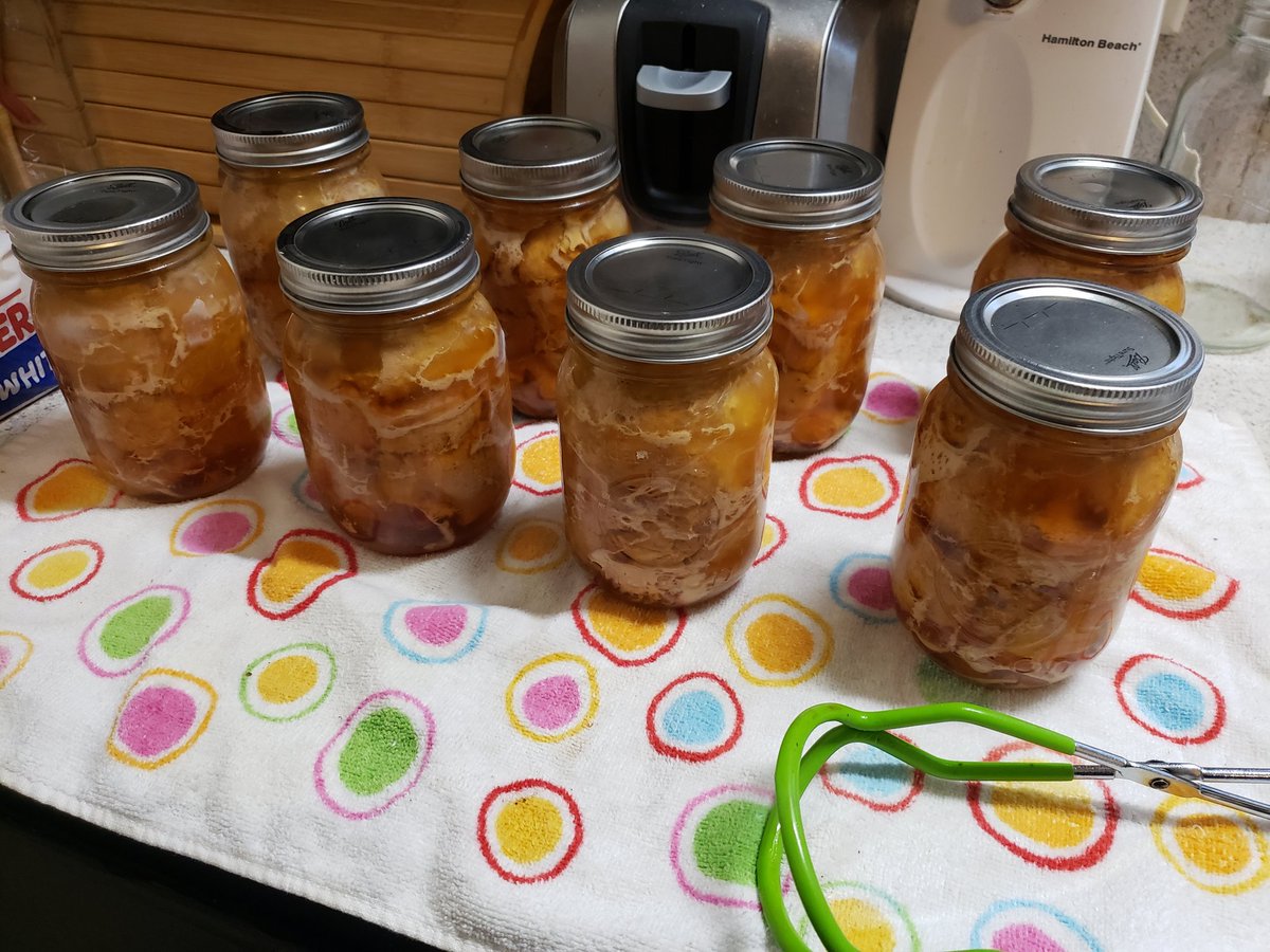 1st batch of pressure canned pork loin.