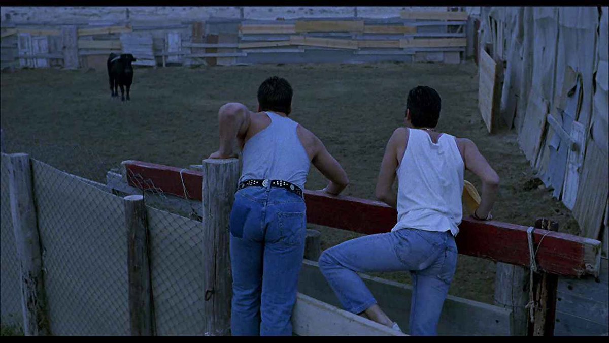 ветчина ветчина 2