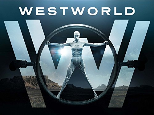Clearly they are obsessed with A.I., trans-humanism, and creating "perfect" hosts for their guests.The WW logo clearly is modeled after Leonardo De Vinci's Vitruvian man was his depiction of the perfectly balanced man https://www.scienceabc.com/social-science/the-vitruvian-man-leonardo-da-vinci.html