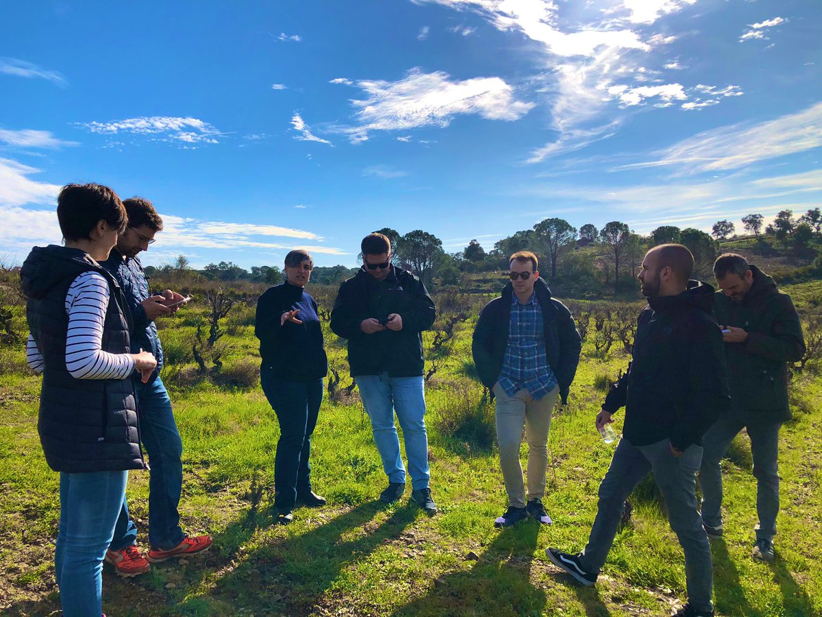 GLapignola's tweet photo. Meravigliosa visita a las viñas del @CellerEspelt con todo el equipo de @CalidoscopiVins bcn https://t.co/qGCcV8siHo