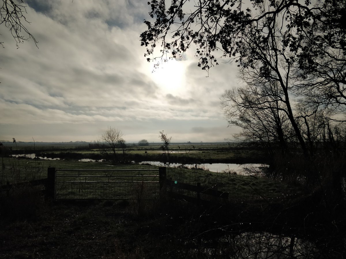 Onderweg #nature #Groningen #winter #wintertime #landscape #photograghy #picture #sky #trees