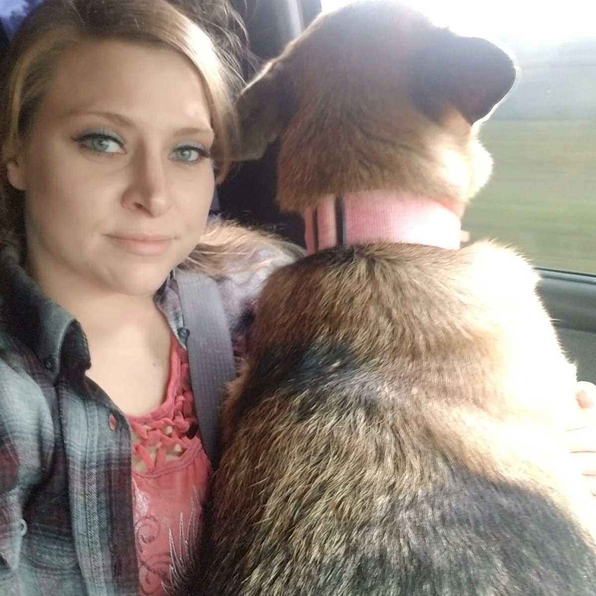TChronicalsofme's tweet image. Meet Mary Sue from our #redneck skit on YouTube. Check my #profile for a link!!! Featuring my #GermanShepherd Nova! She sat in my lap while I recorded. 100lb baby!!! #dog