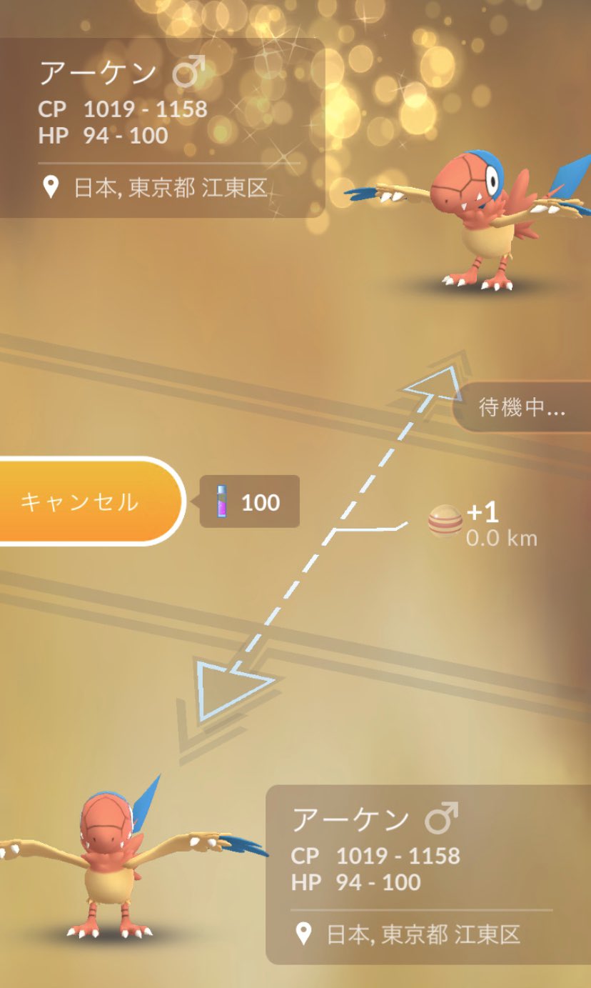 Yoshi ポケモンgo 野生のアーケンがお台場にいた その場でキラ交換 ポケモンgo アーケン T Co Yd8khbeylp Twitter