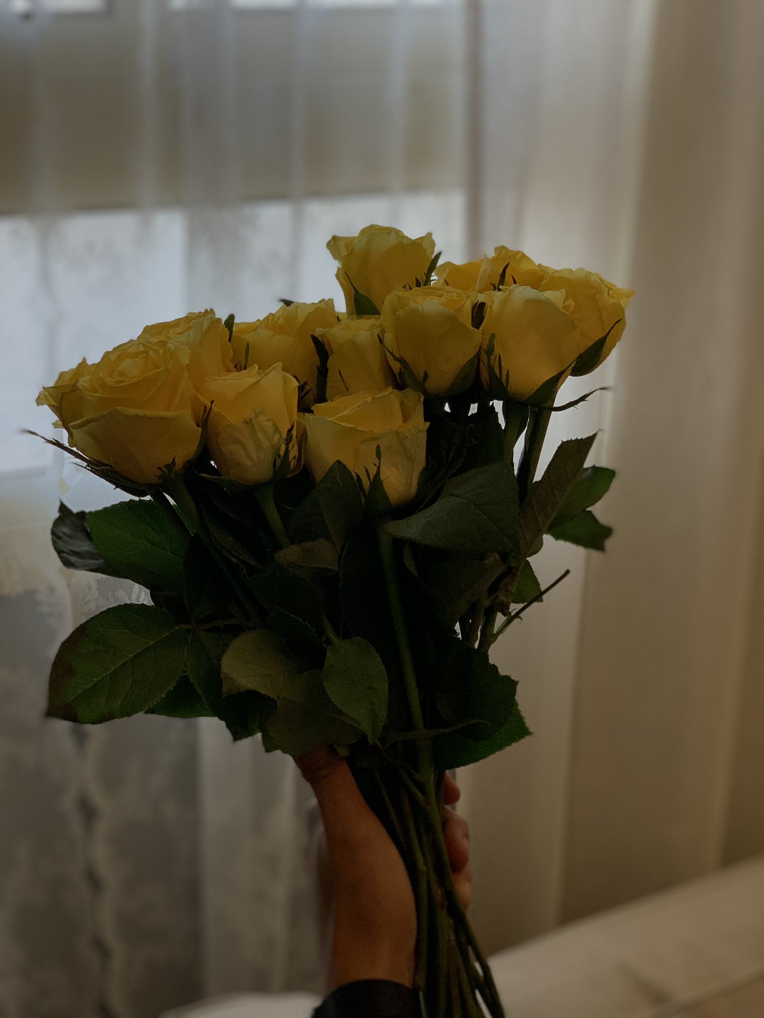 مغرم di twitter مجرد باقة ورد بسيطة من بستان ت عيد للإنسان عمر ا كاملا https t co vhspeyw9jl twitter