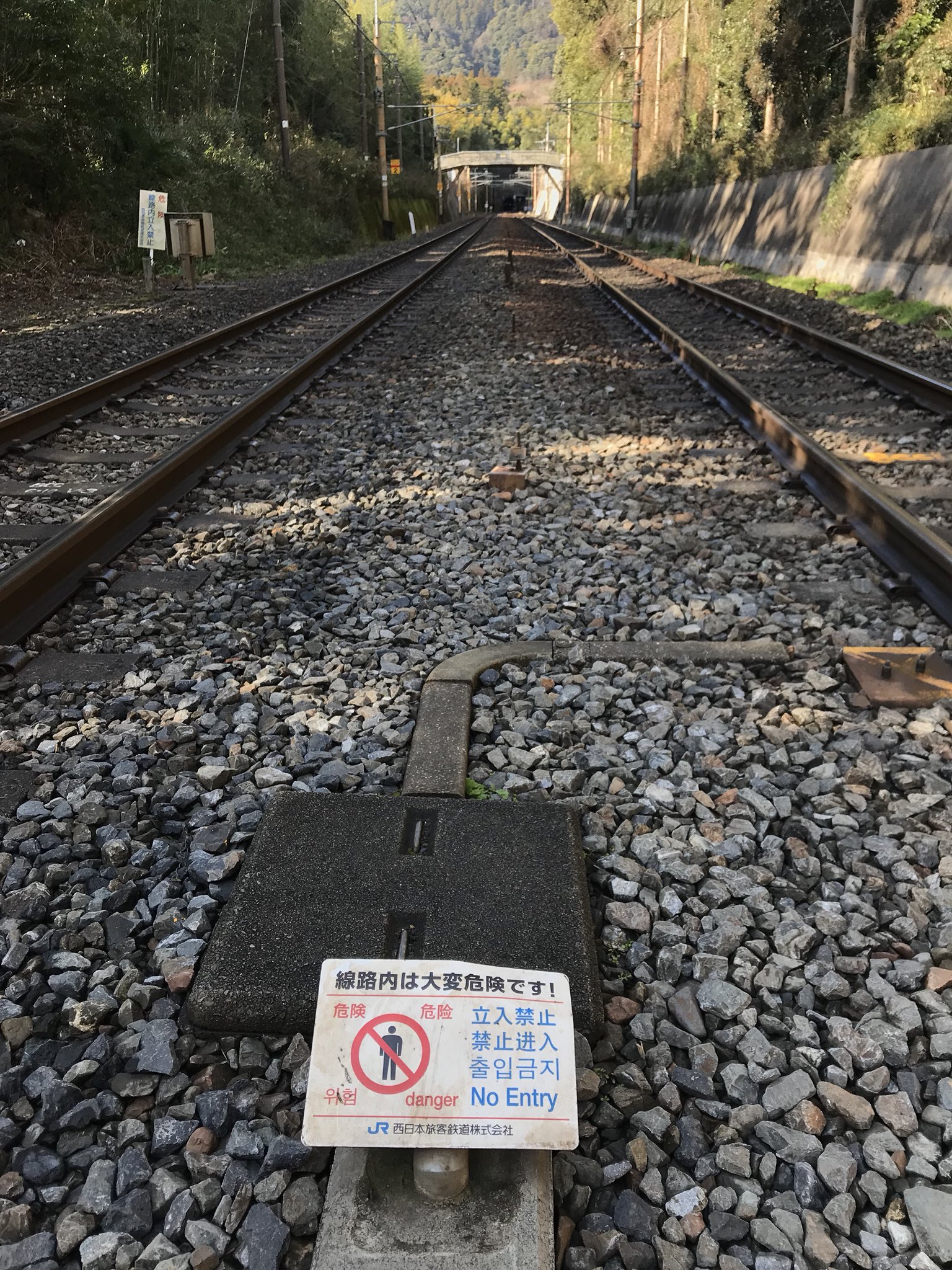 松本伊予　線路  / X