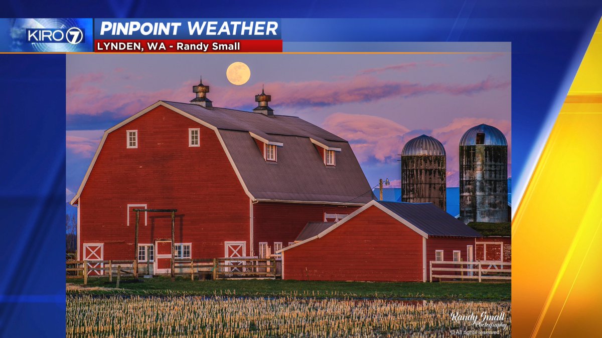 Morgan Palmer Morgankiro7 Twitter