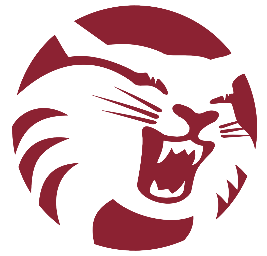 MCLA's tweet photo. Chico State stuns No. 24 Stanford on the road, 13-9. Not a subdivisional game within the WCLL, but a big-time program win for the Wildcats. #mcla20 https://t.co/6aJrmt9aAP