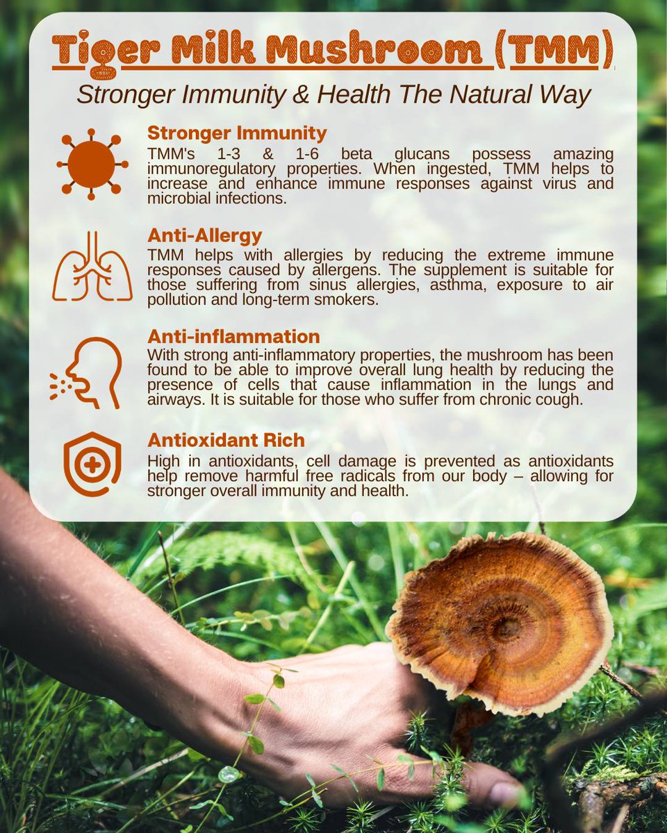 EldonHealthMY's tweet photo. Want to learn more about TMM? Click here for more info! https://t.co/IRCNqUGewb

#TigerMilkMushroom #TMM #immunity #tigrex https://t.co/sqd77B3jlV