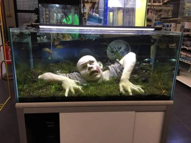 怖すぎ！wwwどんなに綺麗な魚が泳いでいても癒されない水槽レイアウトが発見されるwww