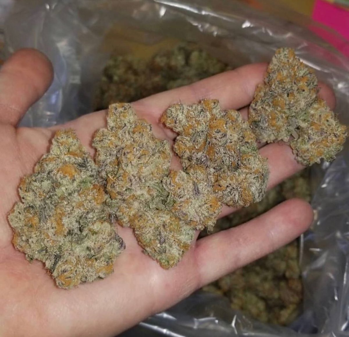 gashitz's tweet image. Always on fire even when we sleep