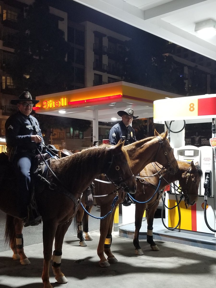 LAPD MOUNTED PLATOON tweet media