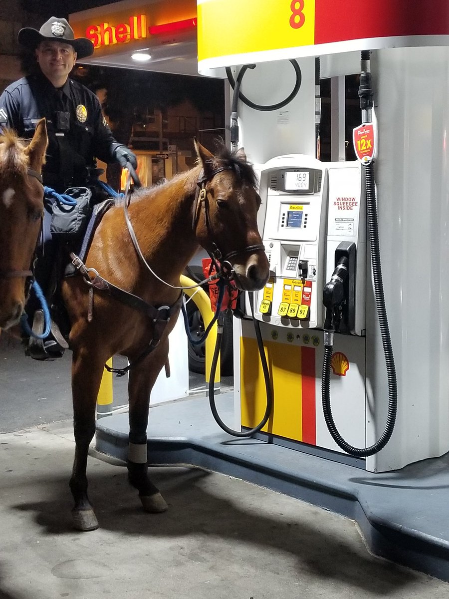 After a long night ride at Staples the horses were ready for refueling.  DASH preferred the premium