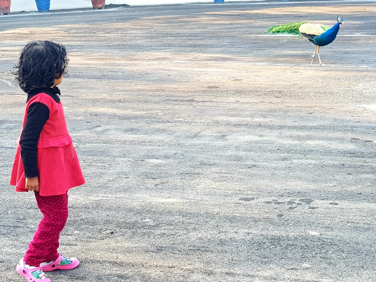 Good morning..

Swachh Mainpuri Sundar Mainpuri...