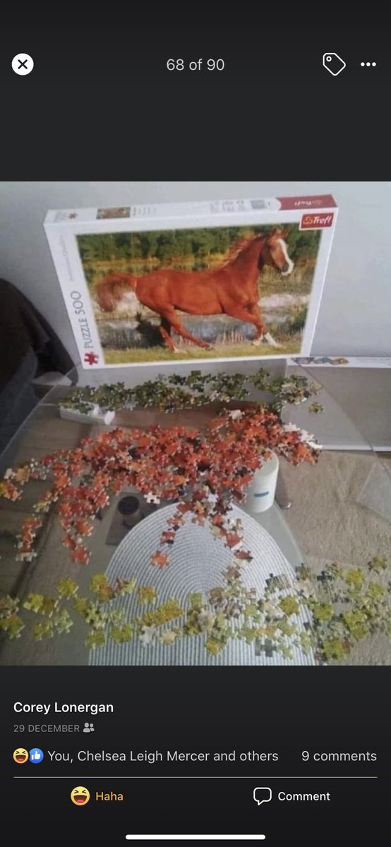HollyGoesFlying's tweet photo. @CVNDYMA I’m not usually one for drama or stuff like that: but stealing other people’s photos and claiming them as your own is not cool! Even if it is just a puzzle. My uncle, the original creator of this masterpiece. https://t.co/5EfqWgWCV9