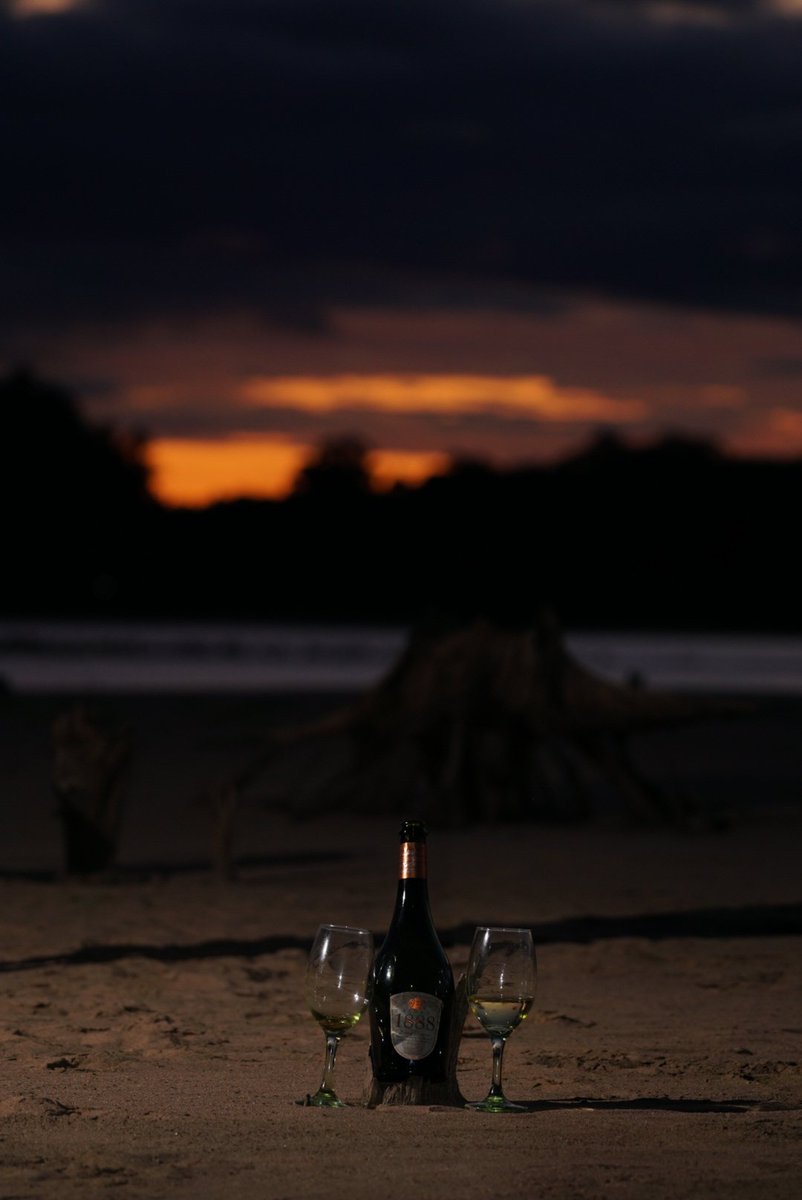 NachoRollano's tweet photo. Sesión pre boda para mí hermano #Sidra1888 #Verano2020 https://t.co/HczWVDq8j9