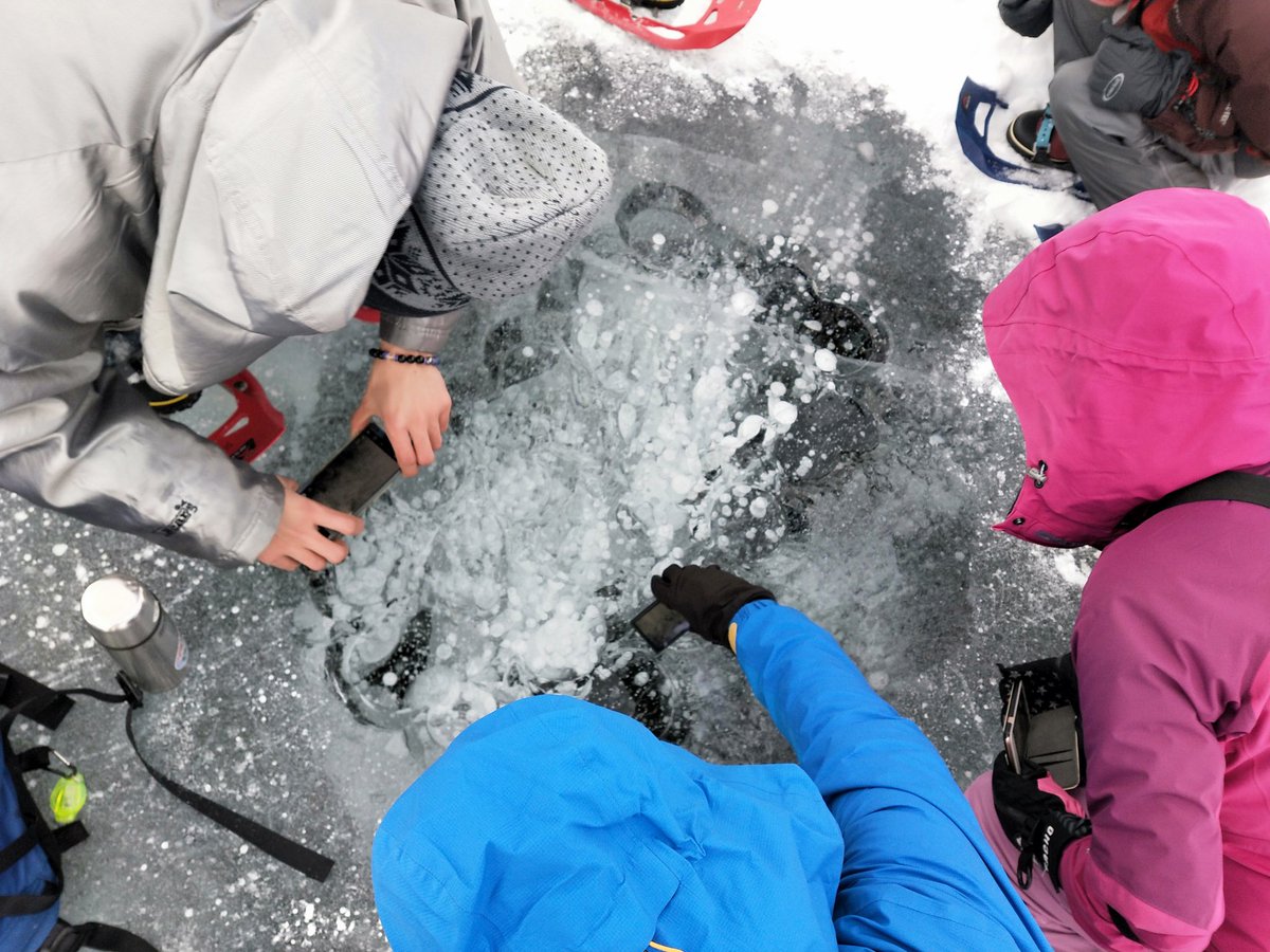 ひがし大雪自然ガイドセンター この連休もアイスバブルツアーでは綺麗に見えてます 糠平湖アイスバブル アイスバブル Icebubble フロストフラワー 糠平湖フロストフラワー 糠平湖ワカサギ釣り 糠平湖わかさぎ釣り ひがし大雪自然ガイドセンター この連休もアイスバブルツアーでは綺麗に見えてます 糠平湖アイスバブル アイスバブル Icebubble フロストフラワー 糠平湖フロストフラワー 糠平湖ワカサギ釣り 糠平湖わかさぎ釣り