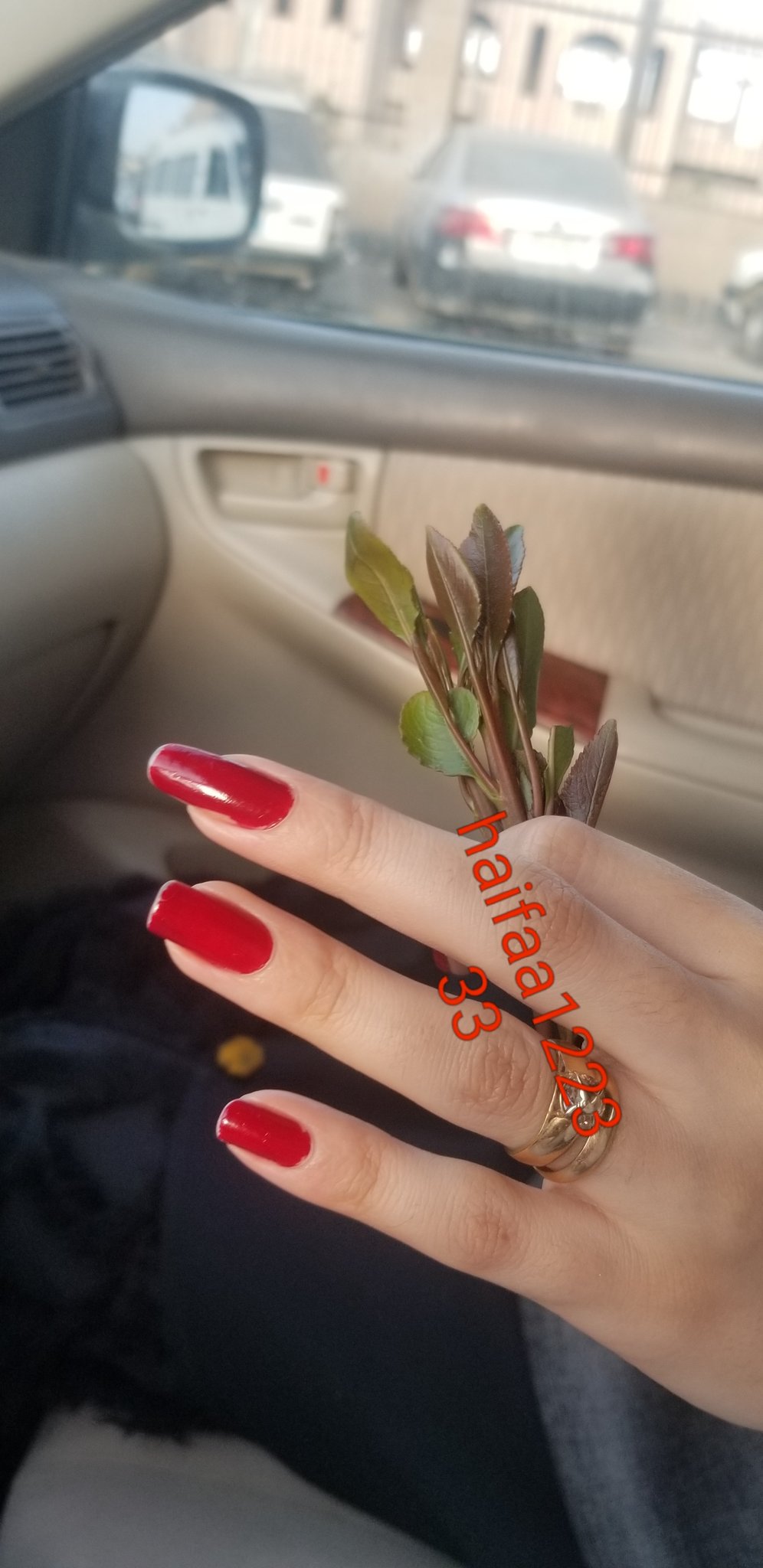 بنت اليمن صنعاء Haifaa U Tvitteri أول مره اكتشف ان القات ماده منبهه للعقل ومنشطه للجنس للآن ولا غمضه مشنا داريه هل القات كله هكذا أو قات حبيبي وبسسسس Https T Co Qhydhl0kwv