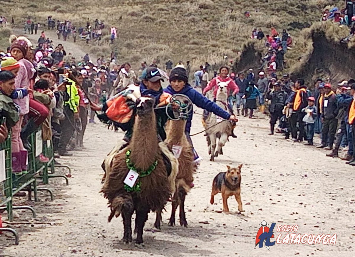 radiolatacunga's tweet photo. Este 08-02 con la tradicional #llamingada se celebró el día mundial de #loshumedales y los 10 años de la declaratoria como sitio #RAMSAR, en el parque #LosLlanganates. La carrera de llamingos se desarrolló en 5 categorías, donde niños fueron los principales protagonistas. https://t.co/BiJvN5LvAl
