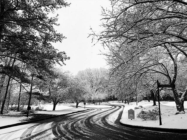D_DChris's tweet photo. It’s black and white,
It’s black and white...
#alpharetta #atlanta #georgia #usa #shotoniphone #photography #show #snowing #road #tree #trees #black #white #february #2020 #south #scenic #winter #winterstorm https://t.co/EoUsqq9cqG https://t.co/PDLzxSvDGJ