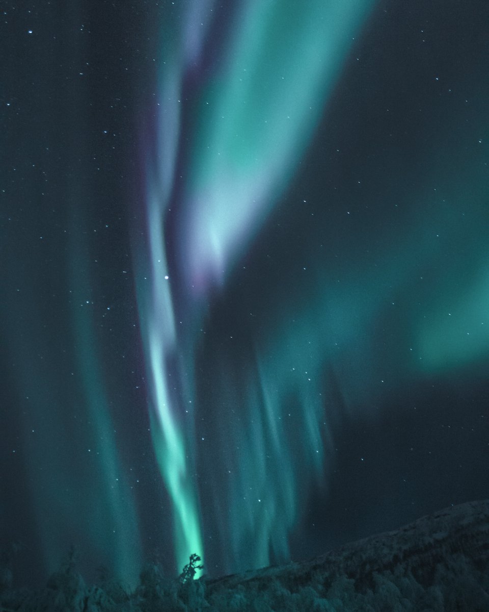 JABUSAInc's tweet photo. How has the Aurora Borealis inspired us? Just wait for the Spring 2020 Collection. Landing at your local trade showrooms in February.
Explore the entire #Chivasso #Spring2020Collection at https://t.co/q5t6zSXCRo https://t.co/8CQAsxZ6jv