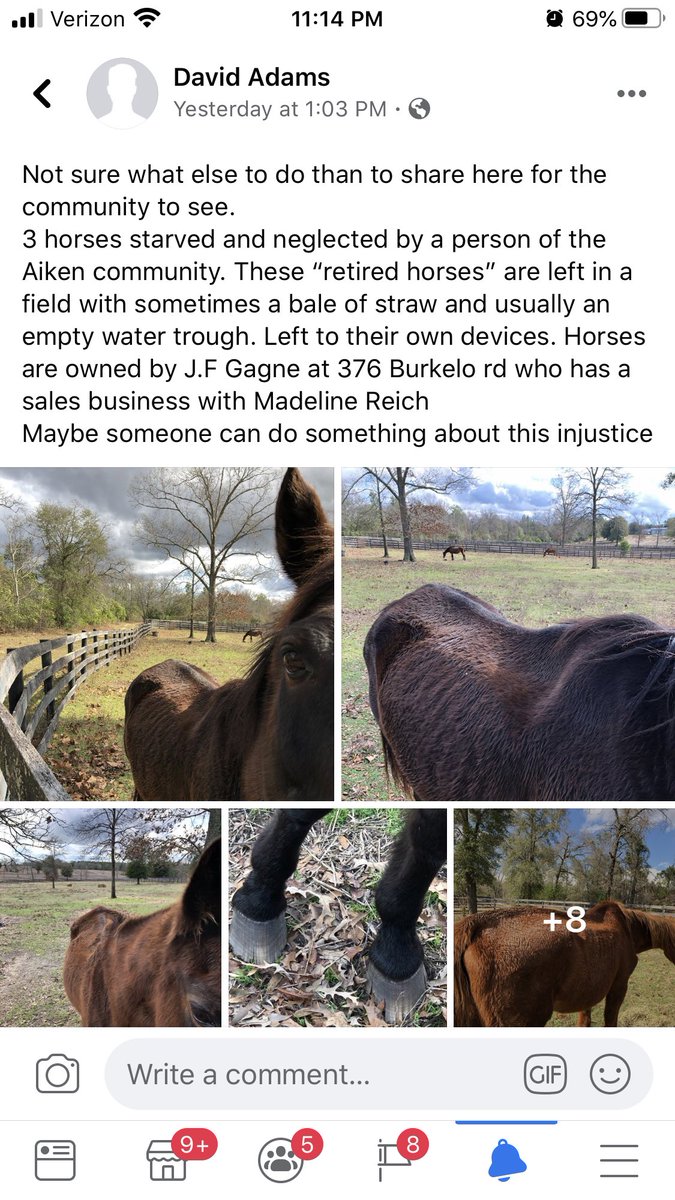 decoupageusa's tweet photo. Starved &amp; dying #horses need saved in #SouthCarolina ASAP please!!! #horsesaredying https://t.co/Ni21ESpYyG
