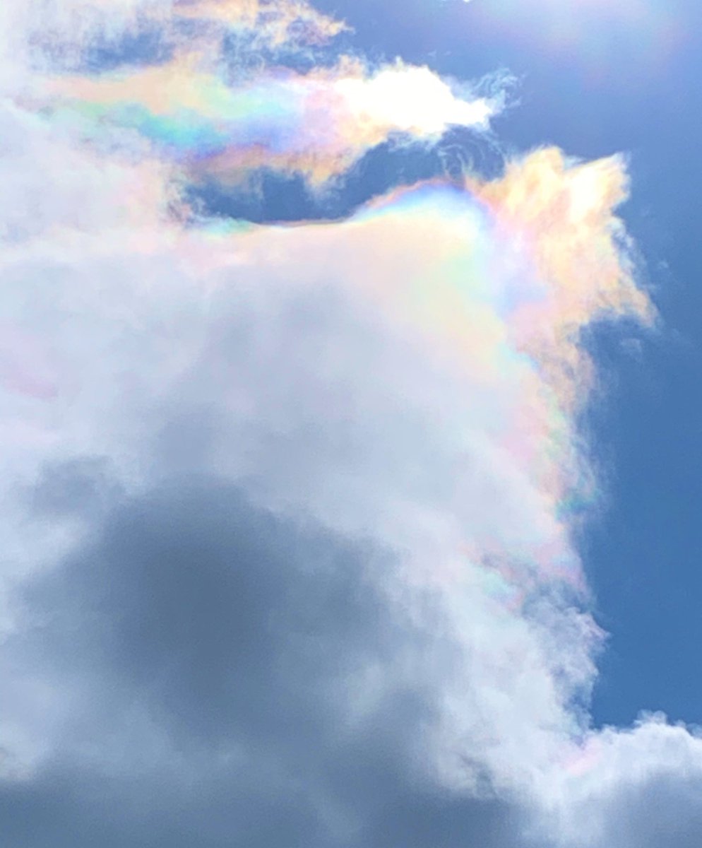 Aimomo Twitter પર 今日の空 うっすら彩雲が 出ていました とっても綺麗で癒されました 彩雲 不思議な空 彩雲好き 不思議な雲 七色 虹色 虹