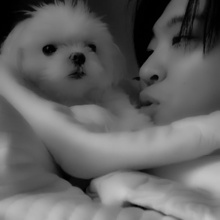 s0ukeye's tweet photo. ใ
คใ
คใ
ค๐ ๐
๐๐บ๐๐ ๐ป๐ ๐๐ ๐๐๐ฝ๐พ. ๐ฌ๐ ๐๐๐๐
, ๐๐ผ๐ฐ๐ผ.
ใ
คใ
คใ
คใ
คใ
คใ
คใ
คใ
ค โ โ
#STRDSTCruise #STRDST https://t.co/fzEOJJo0um