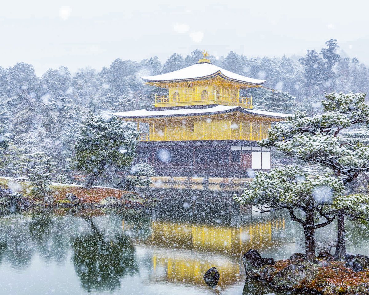 降りしきる雪の中にたたずむ金閣寺は 本当に美しくて幻想的 やんだ後の雪化粧も素敵なのでぜひ見てください Togetter