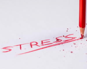 ShelleyRStephen's tweet photo. S is for Stress! https://t.co/RO5WDc9y0P https://t.co/DfekYuiTWd