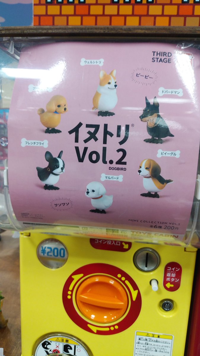 ガチャ王国ジョープラ店 犬のような鳥 鳥のような犬 不思議な新種の動物たち S W ノ ノ ガチャ王国 ジョープラ店 犬 イヌ 鳥 トリ キモカワ シュール 面白い