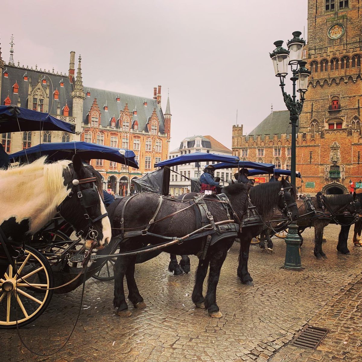 thebioniccomic's tweet photo. Lovely day in #Bruges yesterday with my mate Dee for her birthday. Love how these horse tours have their own poop shoot! Keeps the streets clean & can use for the plants! Such a simple & effective idea! #poopshoot #Brugestourists beautiful place https://t.co/XJ5rsR6QiU
