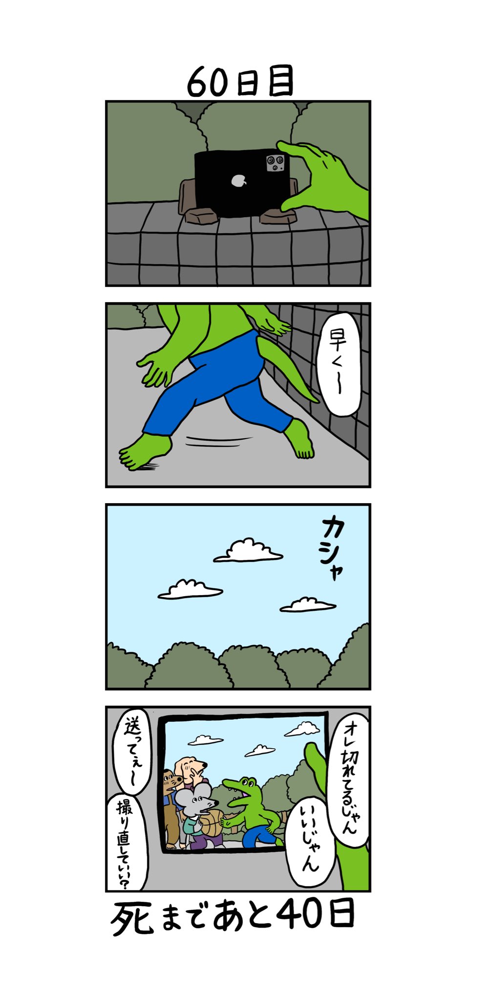 100日後のわぬ きくちゆうき on X: 