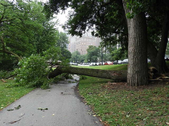 Our Highways team have been out during the night removing trees and debris and are continuing to work to keep our roads clear. 
You can report issues relating to fallen trees and debris using the My Wilts App or via our online form socsi.in/http___www_wil…. 🌬️ ⚠️ #StormCiara