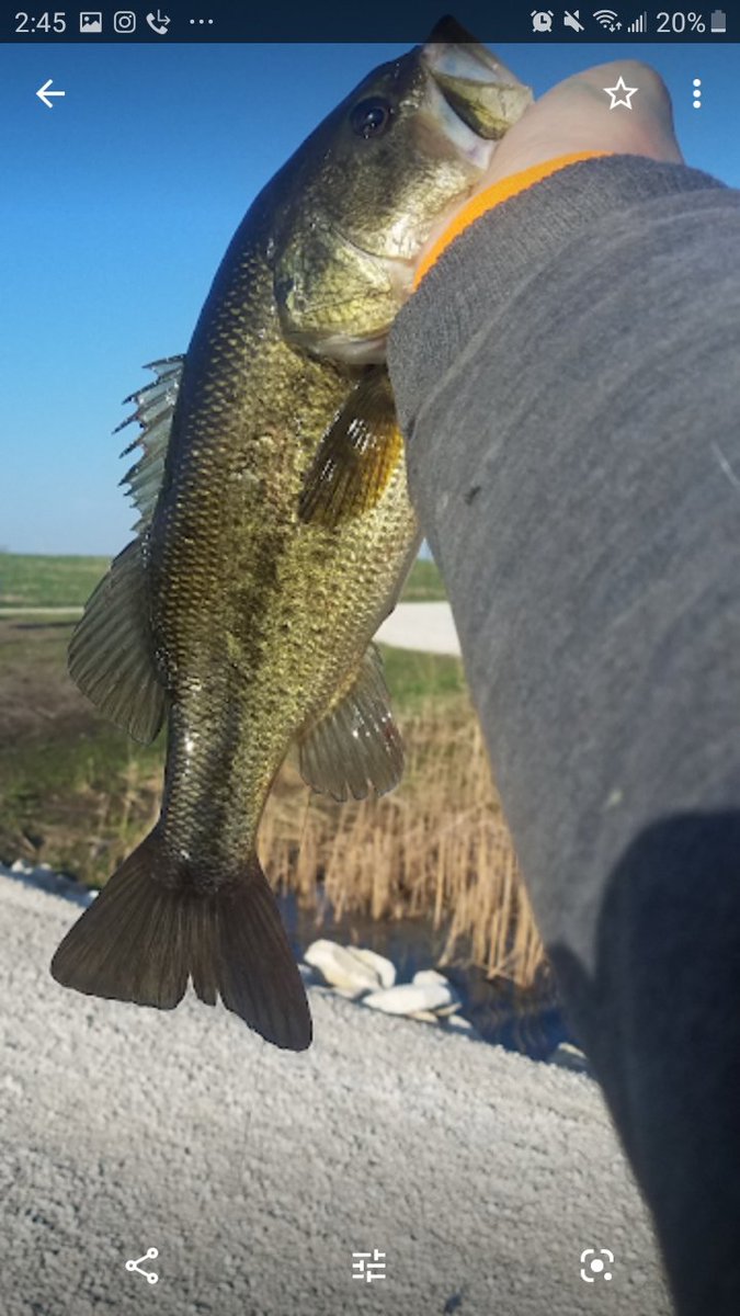 AndrewRohan2's tweet photo. Man I miss spring time and fat largies!! Who's with me?!?!? https://t.co/2KUdbITwfX