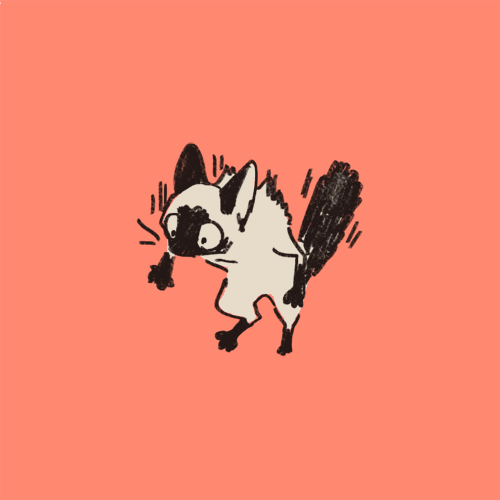 「favorites doodle cut cat. 」|むた釉貴　Muta Yukiのイラスト
