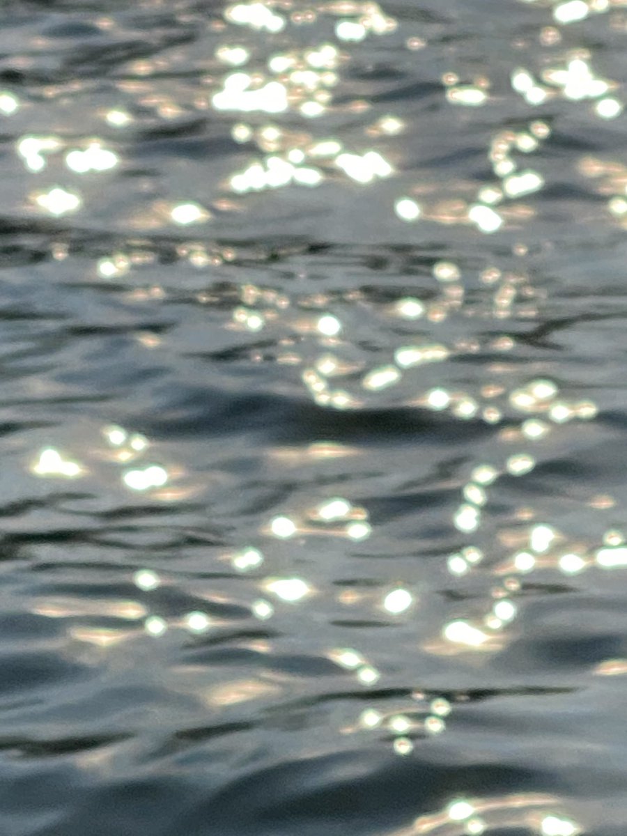 윤슬이 흐르는 강가에서 
* 윤슬: 달빛이나 햇빛에 비치어 반짝이는 잔물결