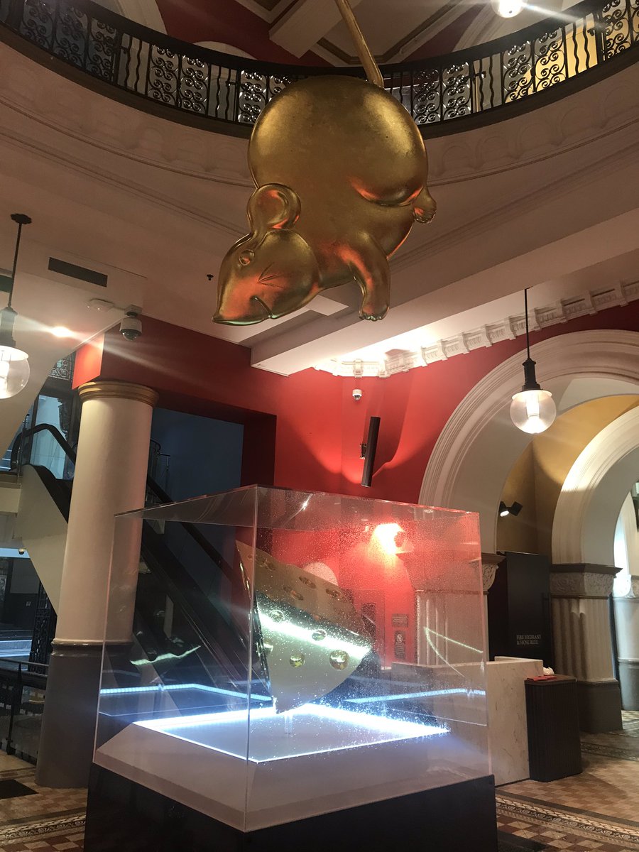 PatCDev's tweet image. Pete Buttigieg spotted in the wild 🐀#MayoPete #MayorCheat