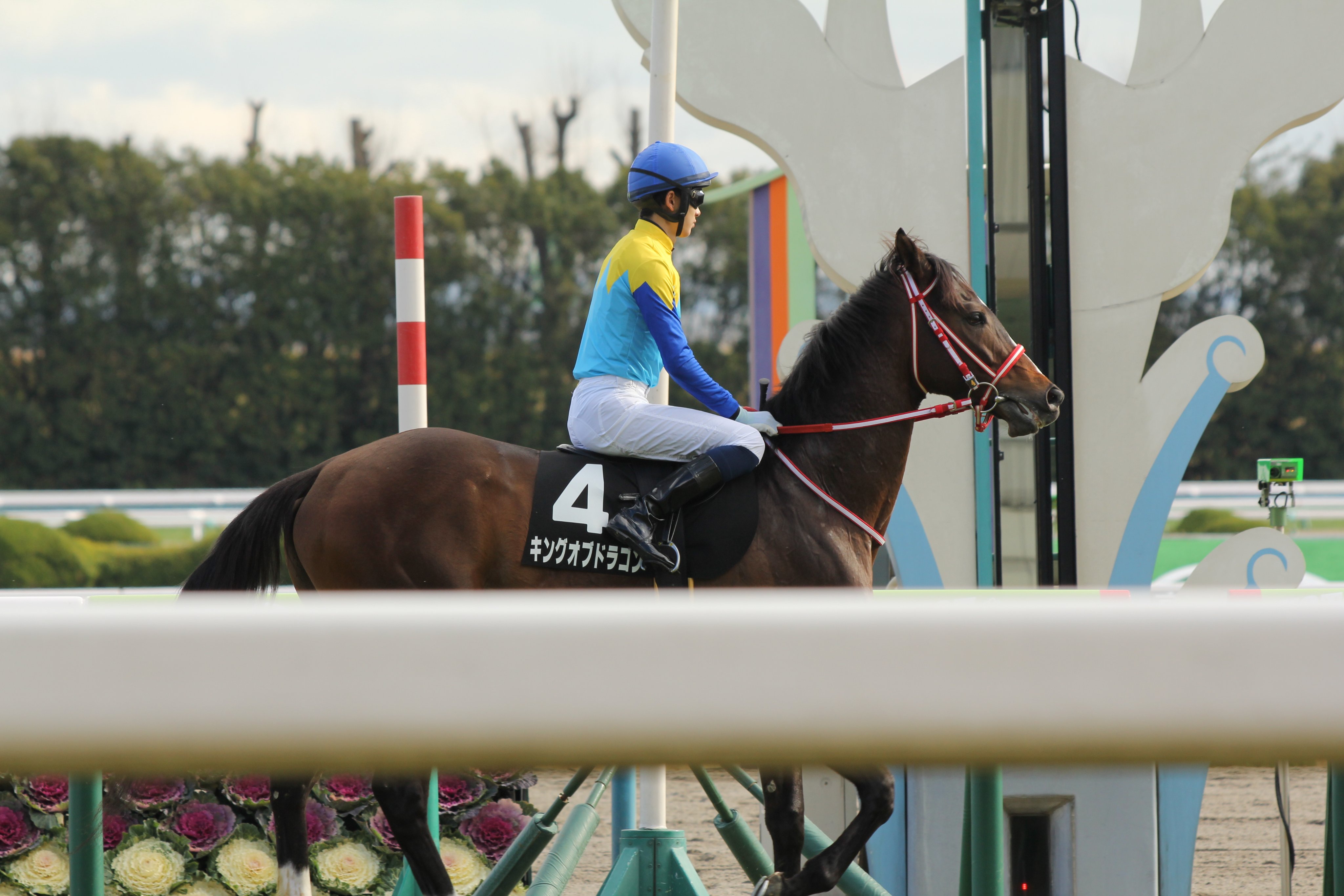 ファルコム馬名bot 馬名 キングオブドラゴン 現役 性別 牡 父 ハーツクライ 母 ベガスナイト 生年月日 17年4月2日 所属 栗東 矢作芳人 ファルコム的馬名意味 キングドラゴン ドラゴンスレイヤーシリーズ ボス名 本当の馬名意味 王 龍