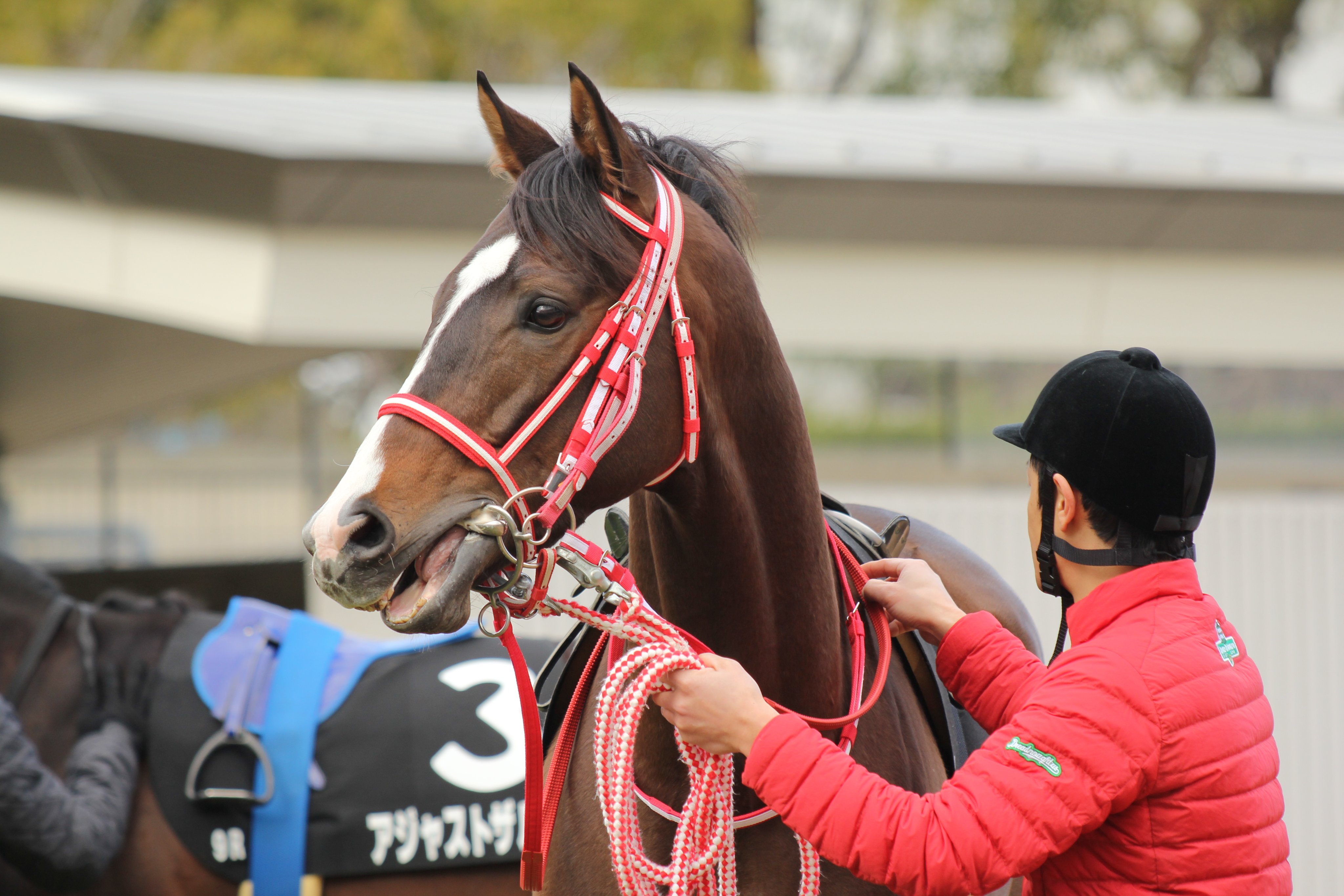 ファルコム馬名bot 馬名 キングオブドラゴン 現役 性別 牡 父 ハーツクライ 母 ベガスナイト 生年月日 17年4月2日 所属 栗東 矢作芳人 ファルコム的馬名意味 キングドラゴン ドラゴンスレイヤーシリーズ ボス名 本当の馬名意味 王 龍