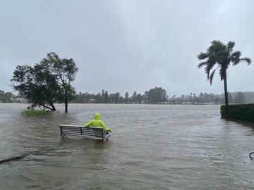 عرض الصورة على تويتر