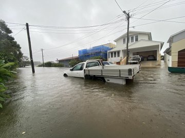 عرض الصورة على تويتر