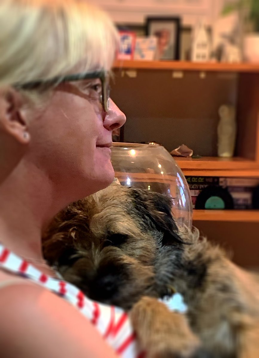 MossTheBT's tweet image. Being a cuddle 🐵
#busyweekend