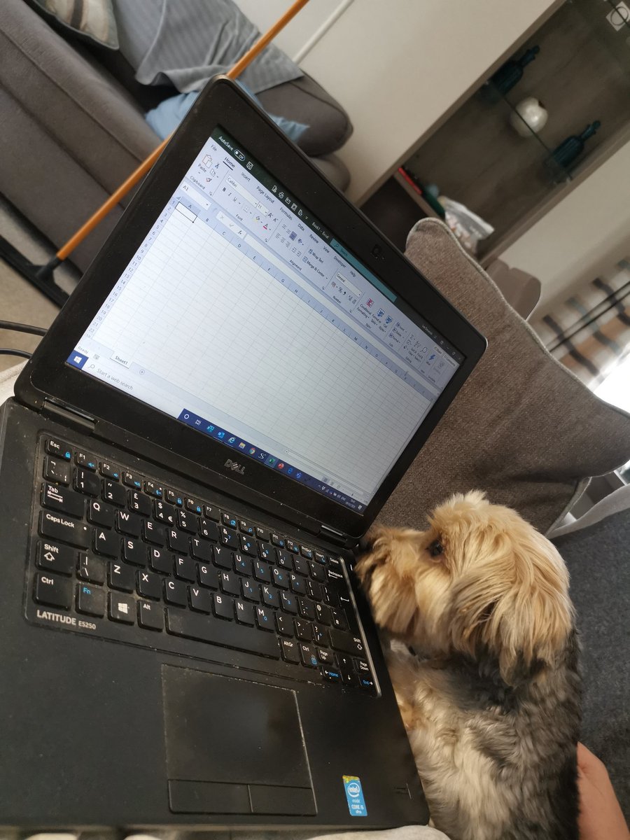 L_Devenish's tweet photo. Even my dog loves Excel !
#likefatherlikedog
#geekdog
@JustineTurner84 @richcrook85 @Tumblinghome https://t.co/awJ9pBc5M3