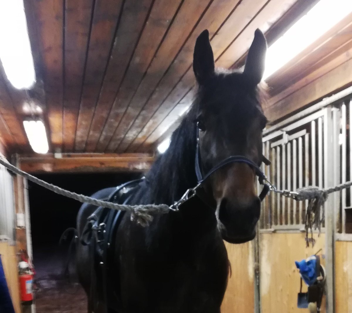 Shady ❤️ Så kjekk og grei du har blitt.. "you were quite a challenge" 🧗