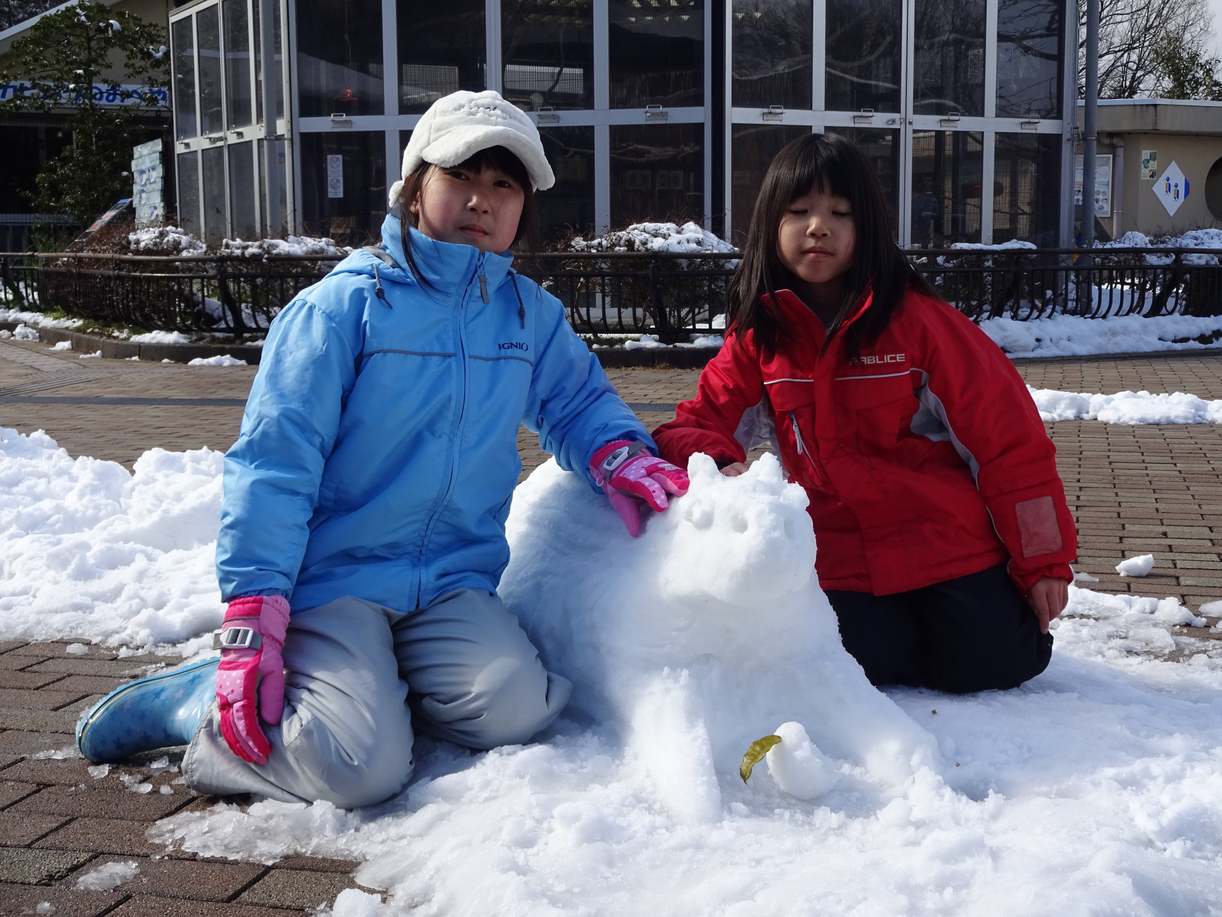 いしかわ動物園 公式 雪の降る中 カピバラの事が大好きな かわいらしいお客さまが雪のカピバラを作ってくれました 本当のお風呂に入ると溶けちゃうので 雪のお風呂で我慢してもらいました 展示期間は溶けるまでです 早めのご来園をおすすめします