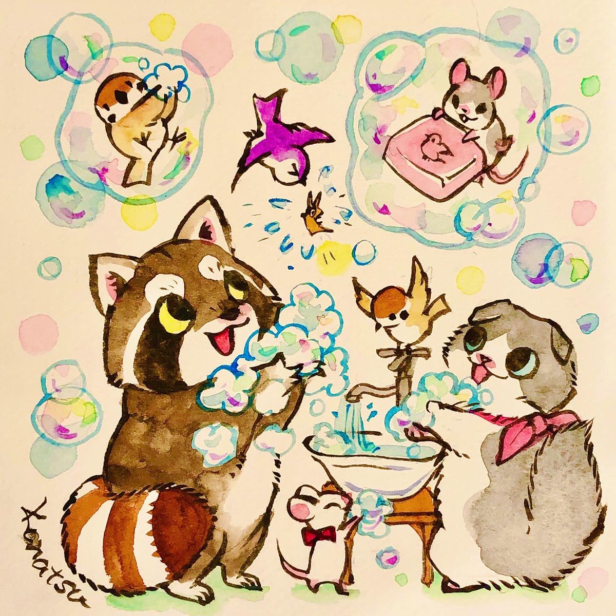 konatsu tunacan konatsu tunacan
