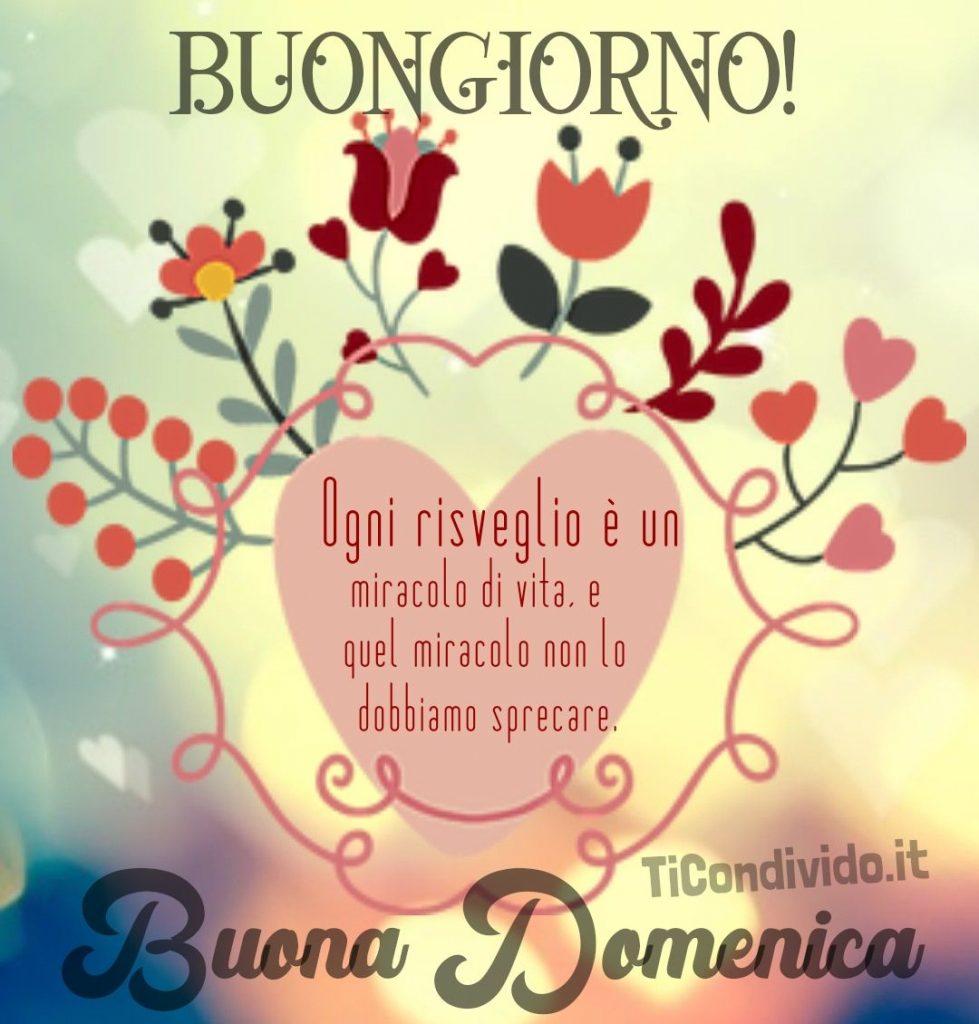 Una #buonadomenica ed un Felice #BuongiornoATutti, miei Adorati amici del #TwitterWorld. #HappySunday #GoodMorning #lovely #guys of #TwitterCommunity Ogni giorno ci viene regalata una nuova opportunità, un Miracolo che si rinnova. Non sprechiamolo. #Miracle of #Life #lovelive