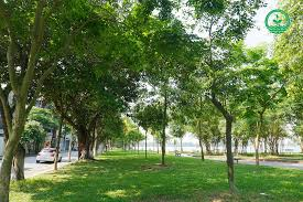 nanh922's tweet photo. mát mẻ khỏe khoắn
#followme #followback https://t.co/ALc3NSkAse