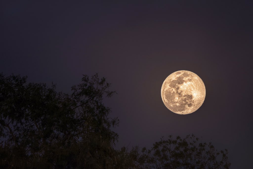 visitingmexico's tweet photo. Así se vio la #LunaDeNieve desde Monterrey, ¿cómo se vio desde tu ciudad? 🌕😍

Foto de @angel_dsv https://t.co/G3neqQ1xe8
